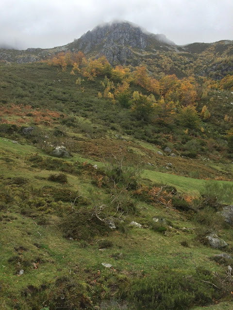 Ruta del Gumial en Felechosa (Asturias) 