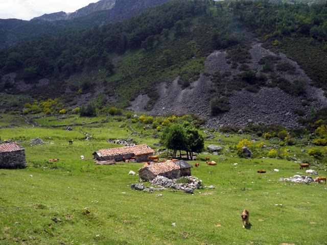 Ruta del Gumial en Felechosa (Asturias) 