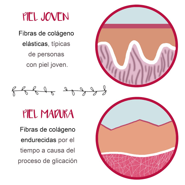 Proceso de glicación